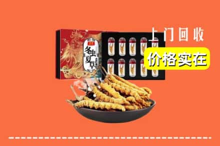 庆阳市回收冬虫夏草